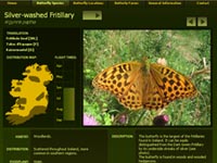 sample of butterfly species page
