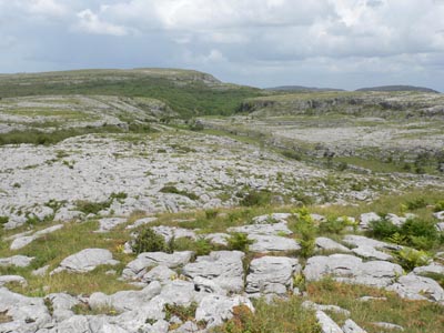 The Burren - view of rocky limestone landscape near the Green Road - 30/6/07
